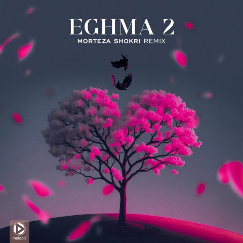 دانلود آهنگ مرتضی شکری ریمیکس اغما 2